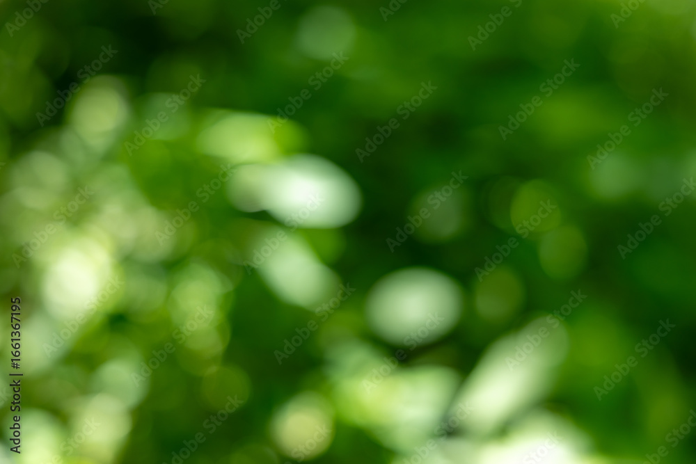 Obraz premium Vibrant Green Nature Bokeh Background with Soft Sunlight Filtering Through Leaves