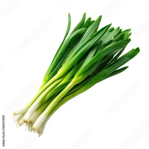Fresh Green Onion Bundles Ready for Culinary Use and Garnishing