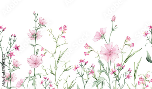 Seamless horizontal border or banner with pink wildflowers. Hand drawn watercolor illustration on isolated background. Summer floral pattern for frame or banner with marshmallow, mouse pea