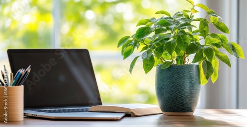 Home office workspace with plant