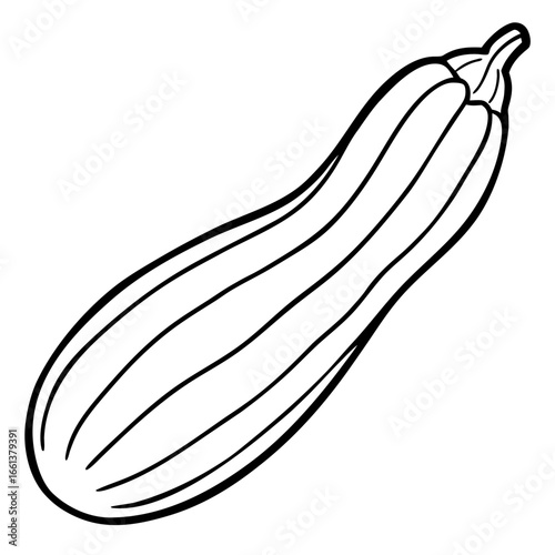 Simple line drawing of a zucchini
