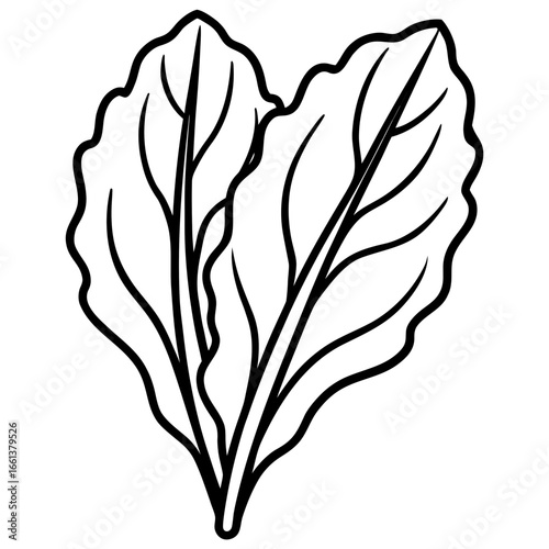 Black and white illustration of heart shaped leaves