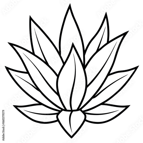 Haworthia Botanical Outline Coloring Page