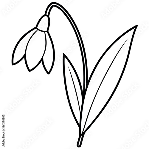 Snowdrop Blossom Line Drawing Coloring Page