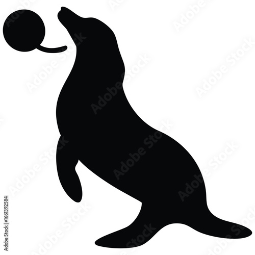 sea lion vector