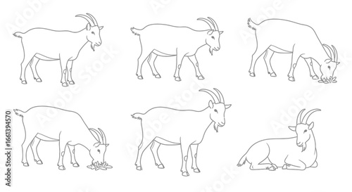 Goat outline set illustration for coloring books, farm animal designs and educational resources for kids