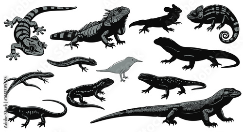 Variety of reptiles and a bird create a vibrant and captivating pattern for nature enthusiasts and animal lovers