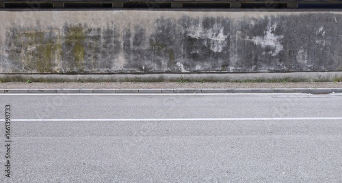 Wallpaper Mural Dirty plaster wall almost fully covered with moss and stains. Sidewalk and asphalt road in front. Background for copy space. Torontodigital.ca