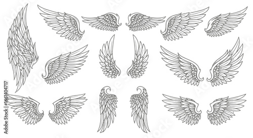 Collection of detailed, stylized angel wings in various orientations.