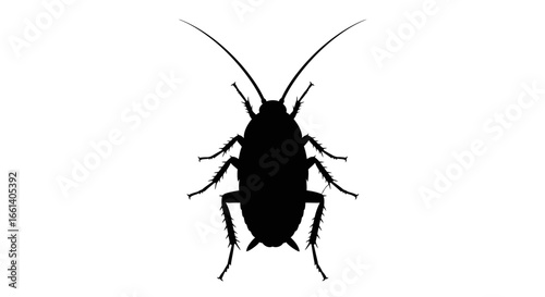 A black silhouette of a cockroach, viewed from above, with antennae and legs clearly visible against a white background.