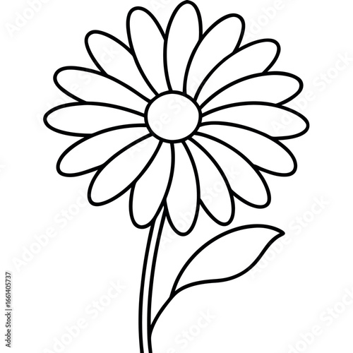 Chamomile Flower Outline Coloring Page