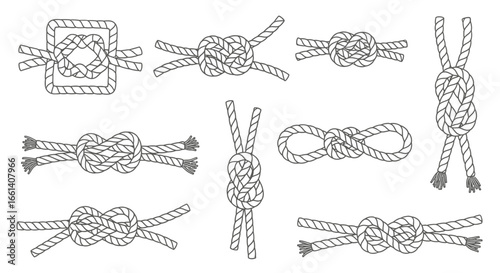 A collection of various rope knots, illustrating different tying techniques and patterns, isolated on white.