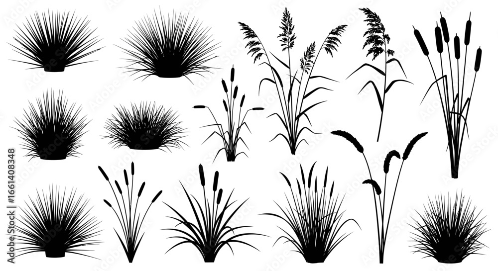 Poster A collection of black silhouette illustrations of various types ...