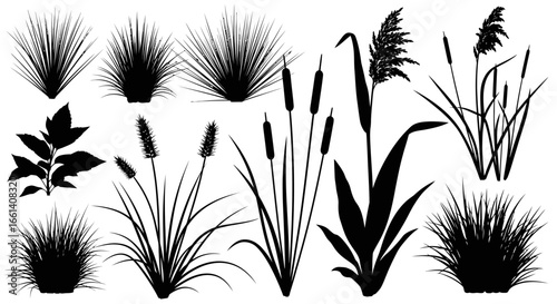A collection of black silhouette illustrations depicting various types of grasses, reeds, cattails, and foliage.