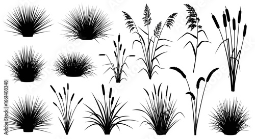 A collection of black silhouette illustrations of various types of grasses, reeds, and cattails in different shapes and sizes.