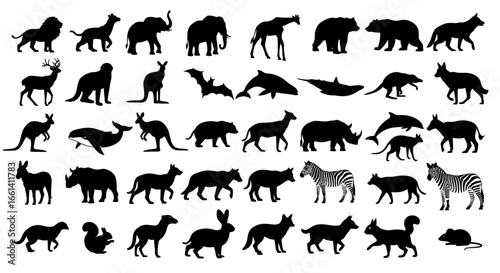 Black silhouettes of various animals, showcasing wildlife diversity in a simple graphic.