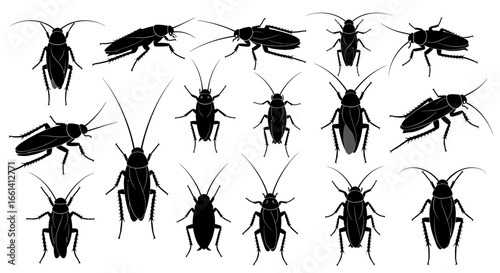 Diverse black silhouette cockaroaches displayed from multiple angles, perfect for pest control and science themes.