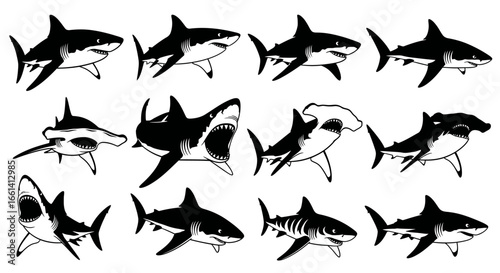 Collection of various shark silhouettes, showcasing different species and angles.