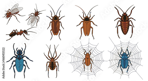 Collection of various insects and spiders, including ants, flies, beetles, and their webs.