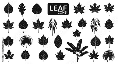 Collection of diverse black silhouette leaf icons isolated on white background.