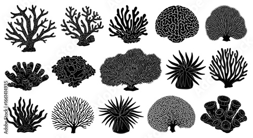 Collection of various black and white coral silhouettes, showcasing diverse reef formations.