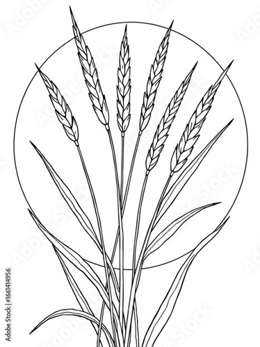 Minimilist illustration of wheat stalks with leaves arranged in front of a circle outline design element vector