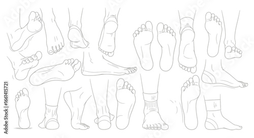 Detailed line art study showcasing various perspectives of human feet, including soles and toes.