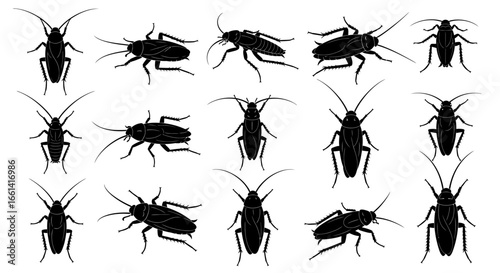 A collection of black cockroach silhouettes, showcasing various poses and orientations against a white background.