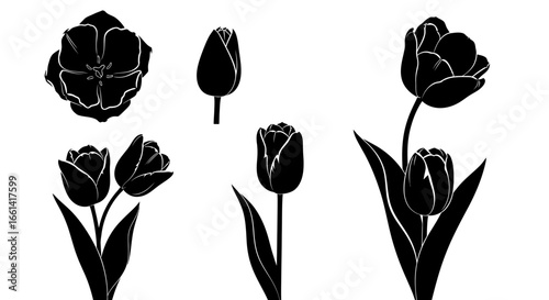 Elegant black silhouette tulips, classic floral designs for versatile design projects and artistic expression.