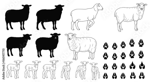 Diverse sheep collection showcasing silhouettes, line art, and playful paw prints for farm and nature themes
