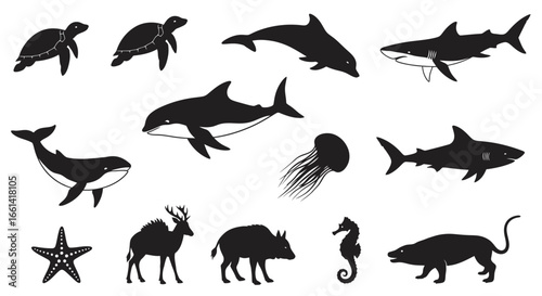 Diverse animal silhouettes including marine life, sea creatures, and land mammals for educational or design projects