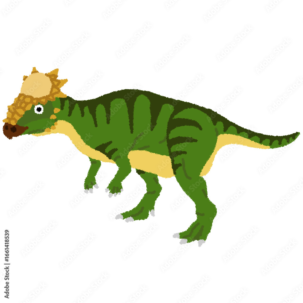 Obraz premium パキケファロサウルスのイラスト