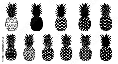 Exotic pineapple fruit pattern design elements black and white for summer projects and tropical designs