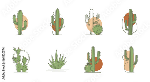 Create a vibrant desert vibe with these modern cactus and succulent illustrations for your next project now