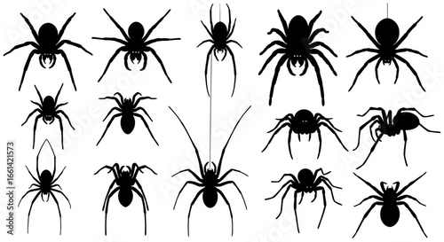 Creepy spider silhouettes for Halloween designs and spooky themes create an eerie atmosphere for your project