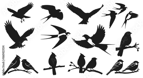 Dynamic vector silhouettes of soaring eagles and graceful songbirds for nature loving brands