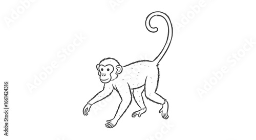 Cute monkey illustration for children's book or educational material about wildlife and jungle adventures