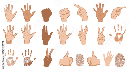 Diverse hands and fingerprints showcase communication, gestures, and unique identity