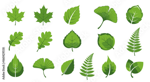 Beautiful collection of diverse green leaf icons perfect for nature-inspired designs and eco-friendly marketing materials