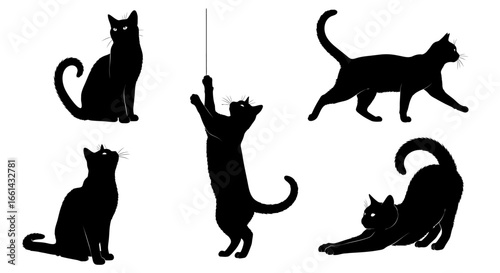 Silhouetted black cats in various playful poses, showing different actions and positions.