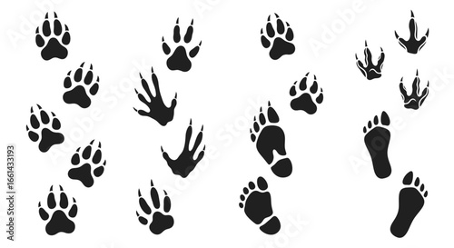 An array of animal footprints and tracks, including paw prints and bird tracks, displayed in a vector graphic format.