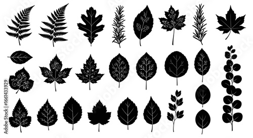 Collection of various stylized black and white leaf illustrations, showcasing diverse shapes and textures.
