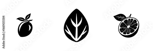 Creative black and white illustrations of different fruits highlighting simplicity and aesthetic appeal