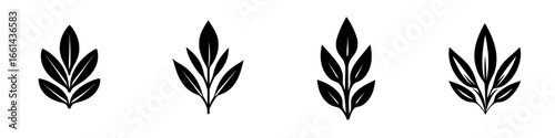 Collection of four decorative leaf silhouettes showcasing organic shapes and versatility for design and illustration use