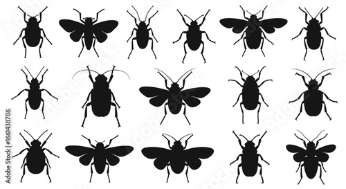 Insect silhouettes perfect for graphic design, scientific illustrations, and educational projects