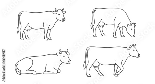 Four simple line art cows depicted standing, grazing, and resting on a white background