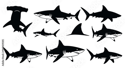 A collection of various shark species silhouettes, showcasing different forms and features in a graphic style.