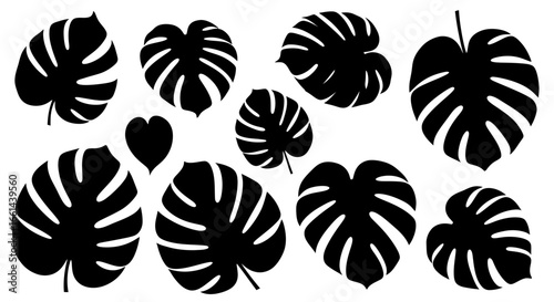 Collection of stylized black monstera deliciosa leaves and a heart.