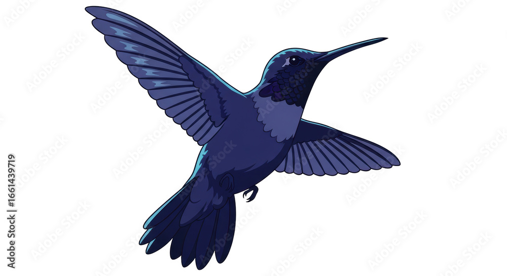 Obraz premium Isolated Hummingbird