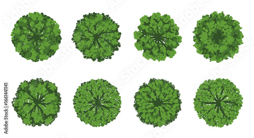 Eight vibrant green trees viewed from directly above, perfect for architectural renderings and landscape design.